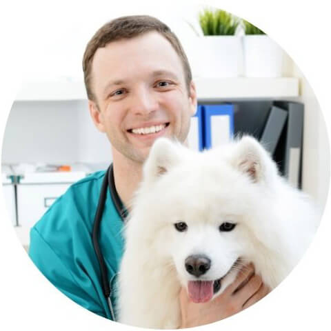 Dr. Peter Kraus
